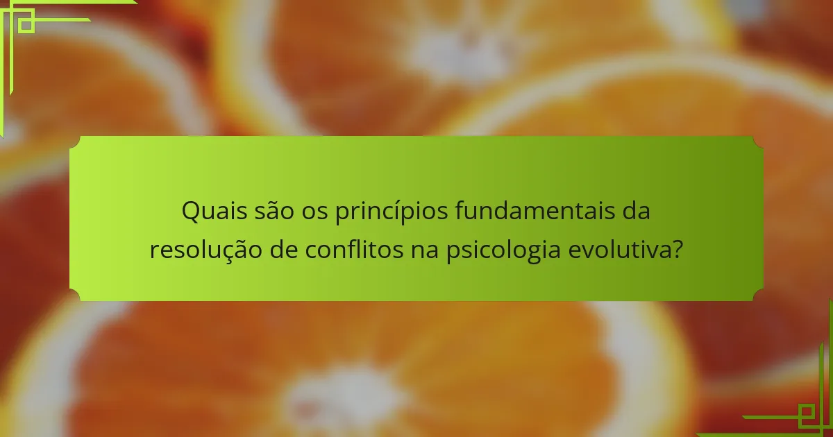 Quais são os princípios fundamentais da resolução de conflitos na psicologia evolutiva?