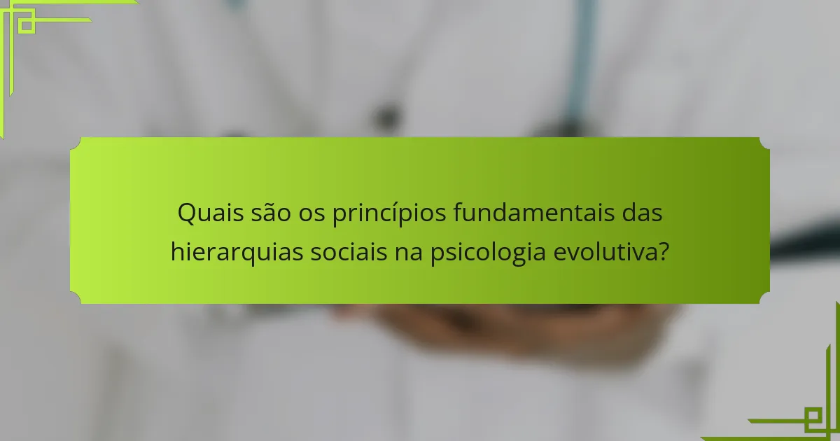Quais são os princípios fundamentais das hierarquias sociais na psicologia evolutiva?